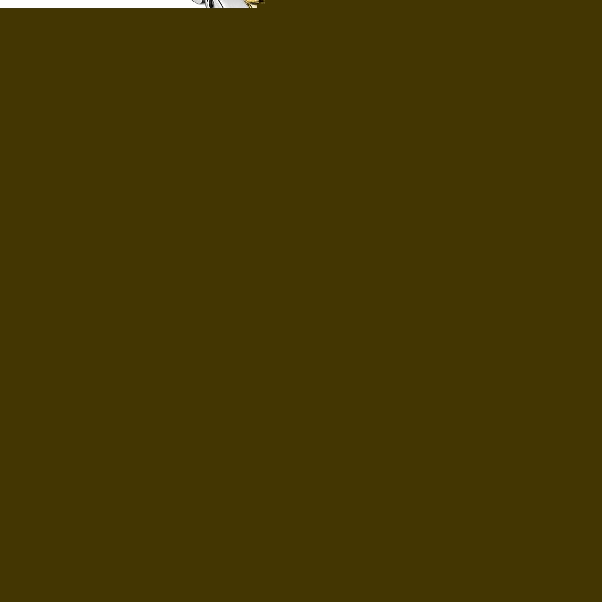 V3H408627072F595F80E62E22301164F98BR6185676P2